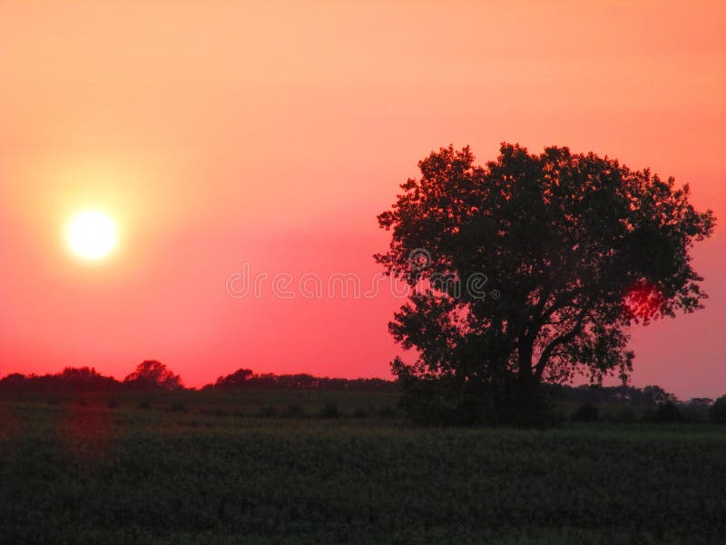 Roodgloeiende Silhouetzonsondergang royalty-vrije stock foto's Roodgloeiende Silhouetzonsondergang royalty-vrije stock foto's