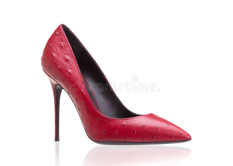 Ferragamo Leren Pumps in het Roze Dames Schoenen voor voor Hakken voor Stiletto's en pumps 