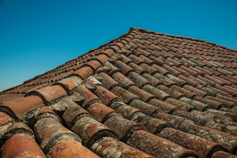 Roof covered by moss and lichens