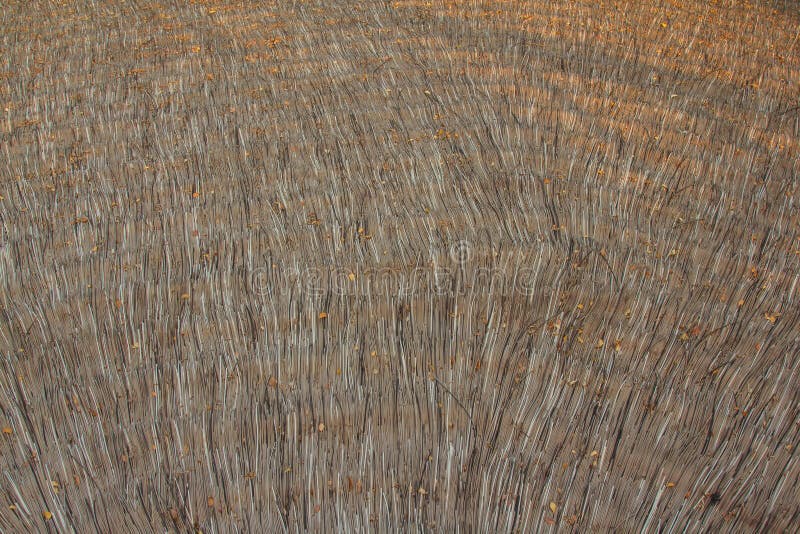 Roof hay royalty free stock photography Roof hay royalty free stock photography