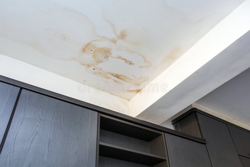Water Stain Ceiling Stock Photos Download 398 Royalty Free