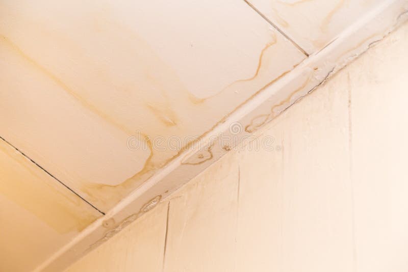 Water Stain Ceiling Stock Photos Download 422 Royalty Free Photos