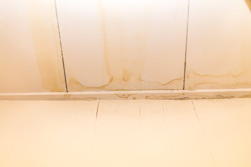 Water Stain Ceiling Stock Photos Download 398 Royalty Free