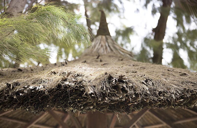 Roof made of dry palm leaves texture, background royalty free stock images Roof made of dry palm leaves texture, background royalty free stock images