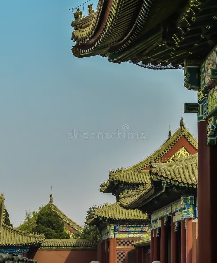 The roofs of the Forbidden City on a bright sunny day. Beijing, China, Asia royalty free stock photos The roofs of the Forbidden City on a bright sunny day. Beijing, China, Asia royalty free stock photos