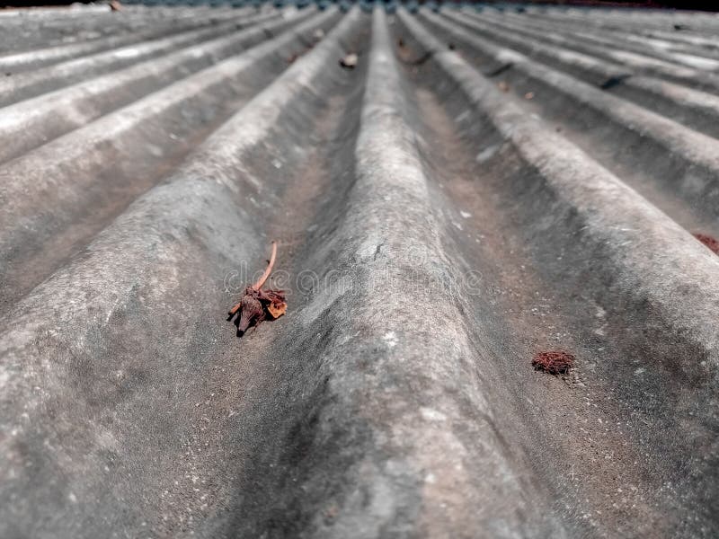 Roofs using asbestos roofs stock photo. Image of asphalt 264048746