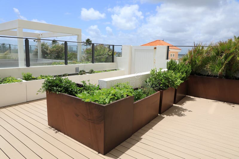 A rooftop home garden stock image. Image of rooftop 245991731
