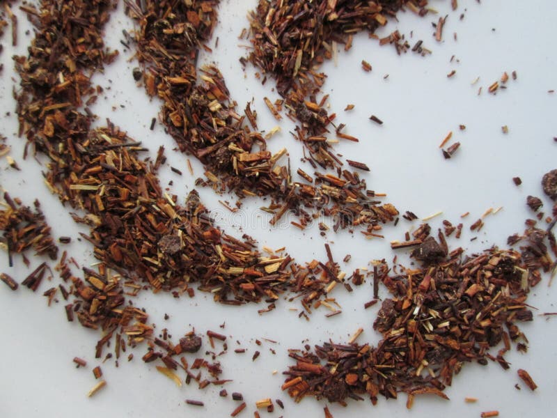 Rooibos. stock photo. Image of herbs, chinese, africa 84913838