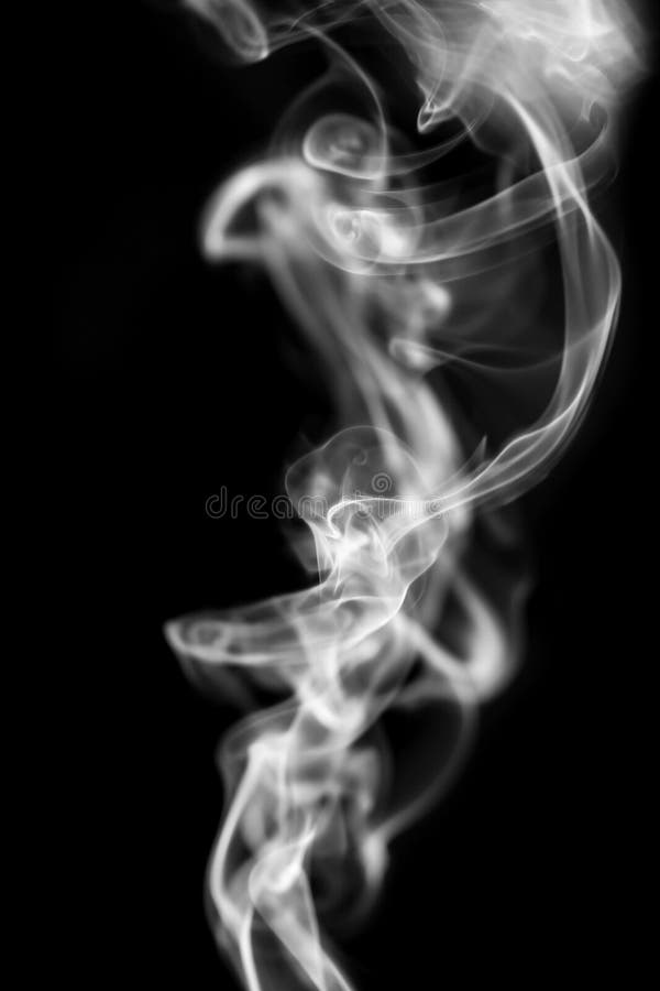 Rook op een zwarte achtergrond stock foto