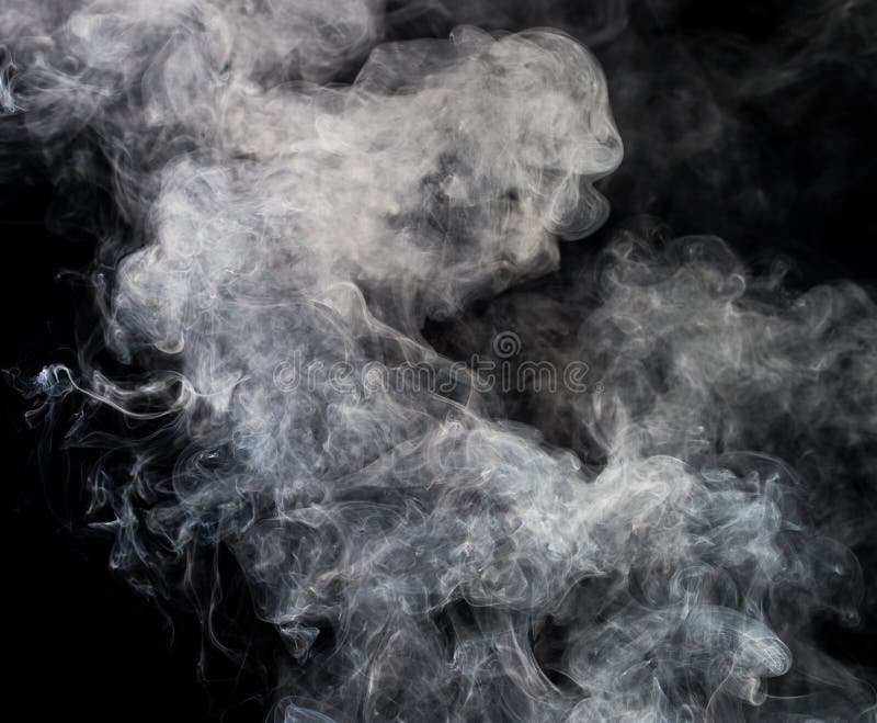 Rook op een zwarte achtergrond stock fotografie