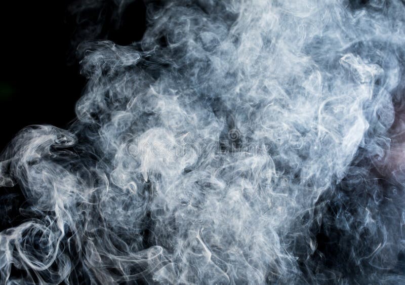 Rook op een zwarte achtergrond stock fotografie