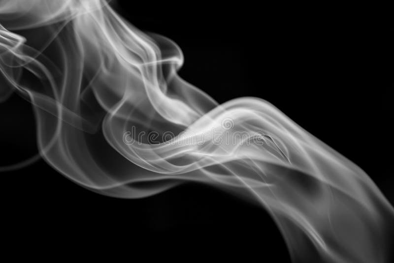 Rook op zwarte achtergrond stock foto