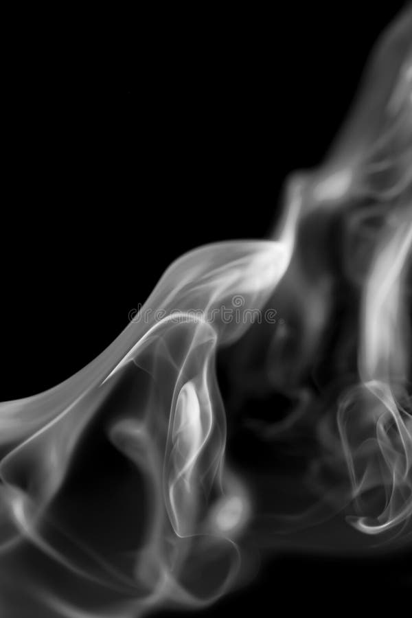 Rook op zwarte achtergrond royalty-vrije stock foto