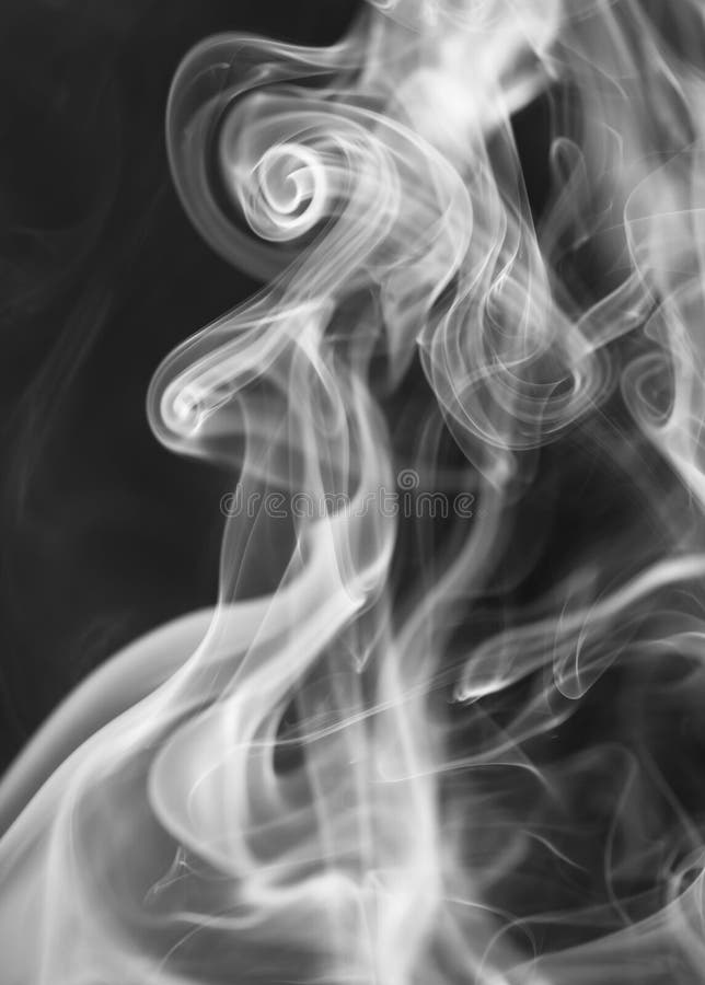 Rook op zwarte achtergrond royalty-vrije stock afbeelding