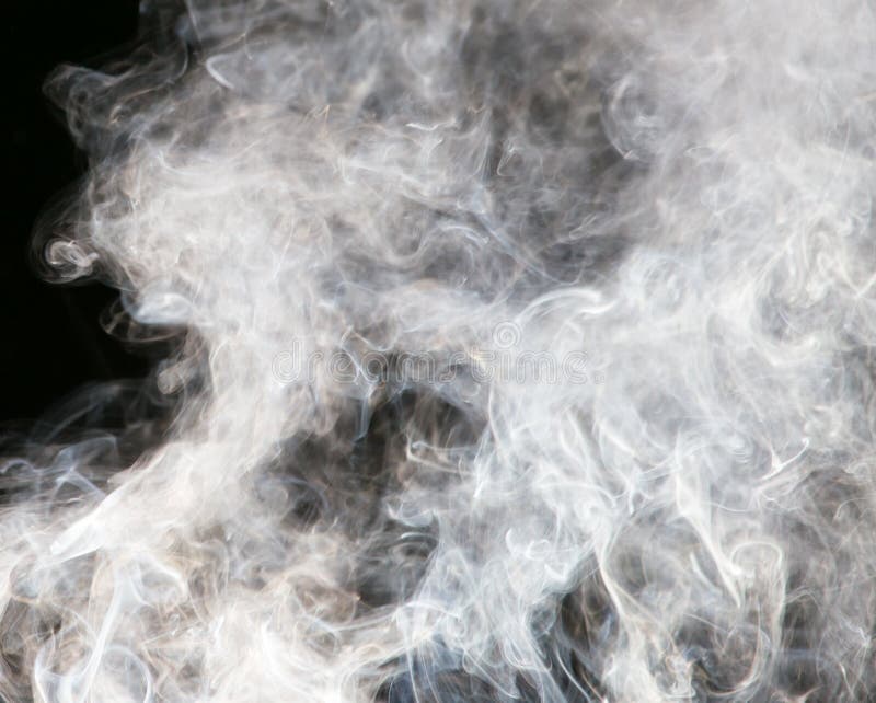 Rook op zwarte achtergrond stock fotografie