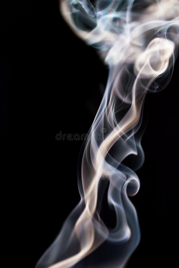 Rook op zwarte achtergrond stock fotografie