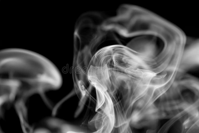 Rook op zwarte achtergrond royalty-vrije stock fotografie