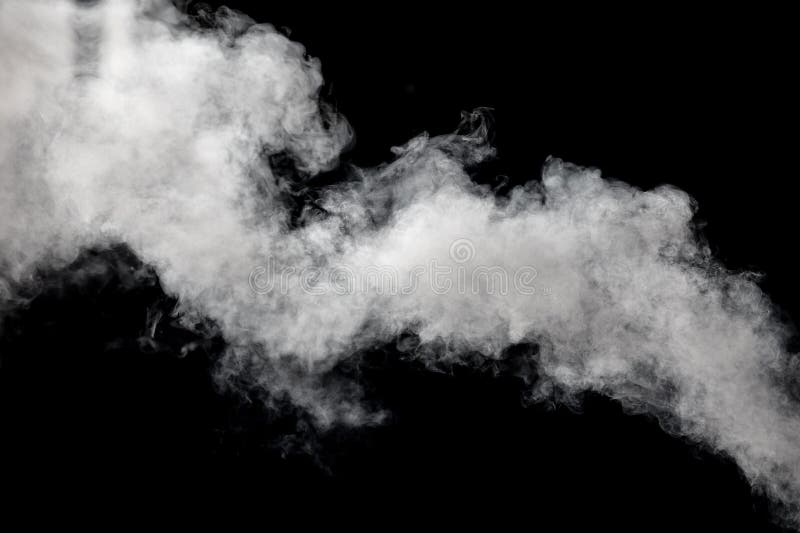 Rook geïsoleerd op zwarte achtergrond royalty-vrije stock foto's