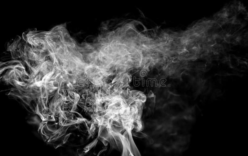 Rook op zwarte achtergrond. stock fotografie