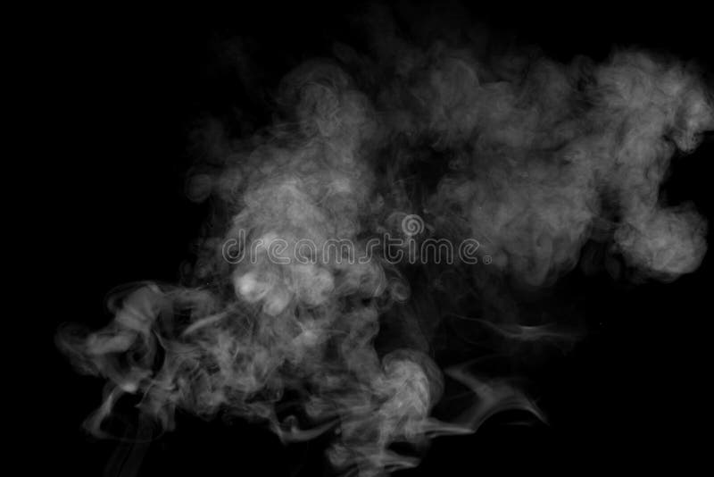 Rook tegen een zwarte achtergrond royalty-vrije stock foto's