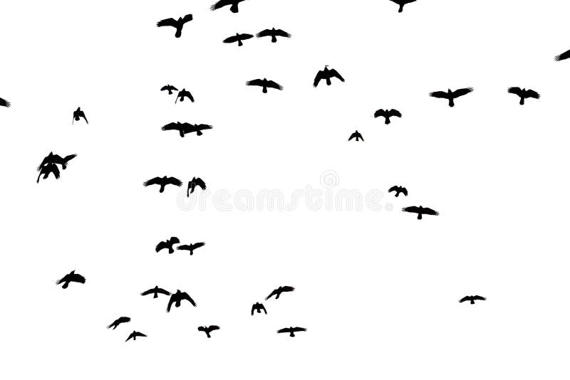 Rooks in flight carved on a white background