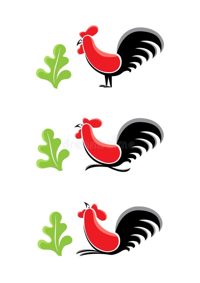 Rooster Ayam Jago stock vector Illustration of vintage 