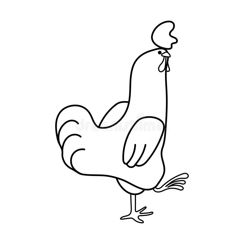 Rooster. Beautiful Chicken Line Art Vector. Vector Illustration. Black