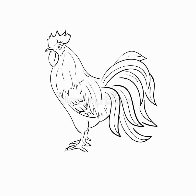 Cock Art