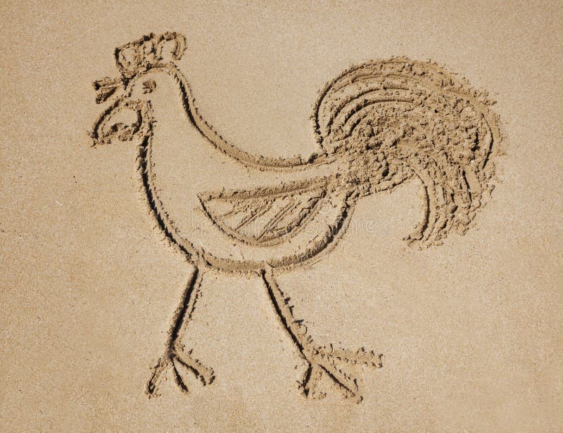 171 Draw Rooster Stock Photos Free & RoyaltyFree Stock Photos from