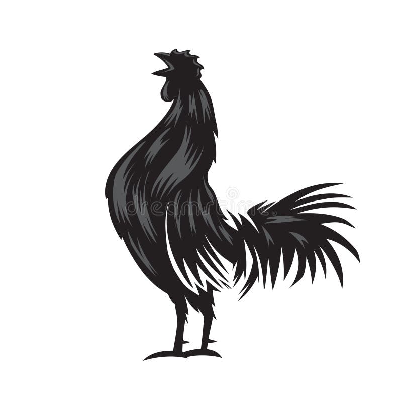 Rooster silhouette vector stock vector. Illustration of symbol 275493209