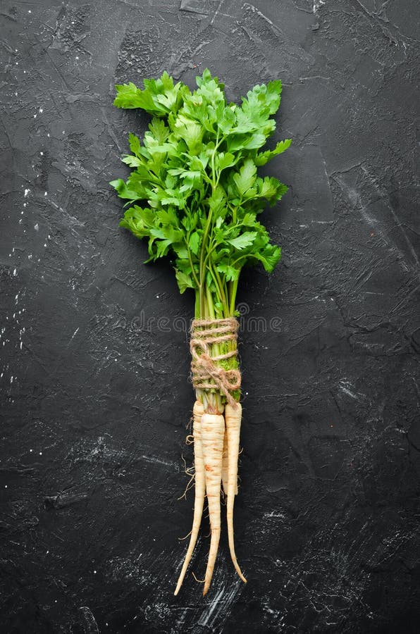 Root Parsley and Parsley on a Black Background. Stock Photo Image of