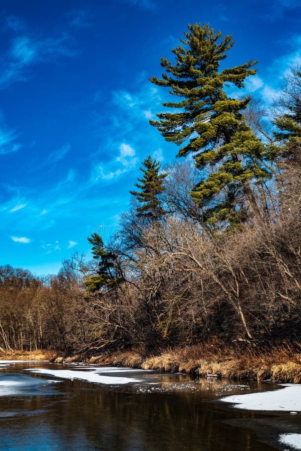 Root River in Root River Park Stock Photo Image of blue, river 204131820