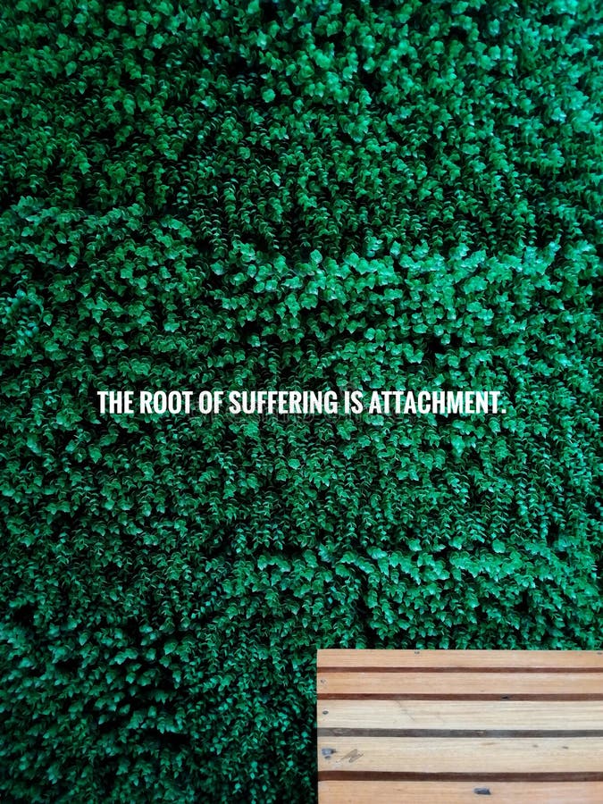 The ROOT of SUFFERING is ATTACHMENT Buddha Quote on Wooden Bench Backrest  with Green Plant Background Stock Image - Image of clean, knowledge:  182069189