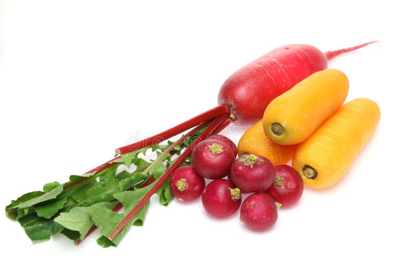 Root vegetables stock photo. Image of root, vegetable 70211390