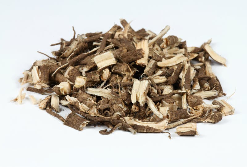 Roots of Siberian ginseng, Eleutherococcus senticosus, traditional herbal medicine. Roots prepared for making tinctures and medicines on the white background