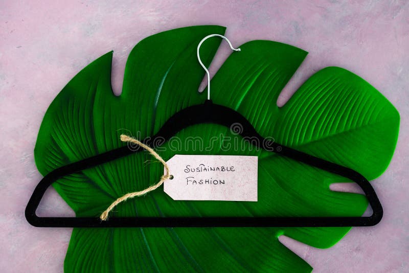 Ropa Con Conciencia Ambiental Marca Etiquetas De Moda Sostenibles Con  Colgador De Ropa Encima De Hoja Verde Tropical En Rosa Foto de archivo -  Imagen de crueldad, comercio: 229292308