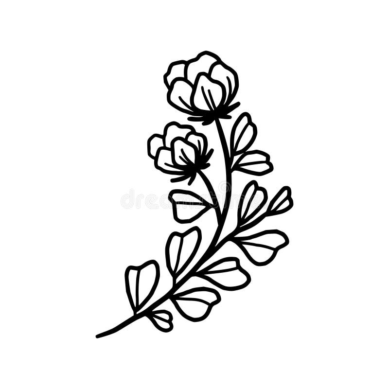 Ropa De Flor Negra Dibujada a Mano Y Rama De Hoja Elemento Floral Natural  Para Imágenes Prediseñadas O Logotipo Ilustración del Vector - Ilustración  de frontera, marco: 199157060