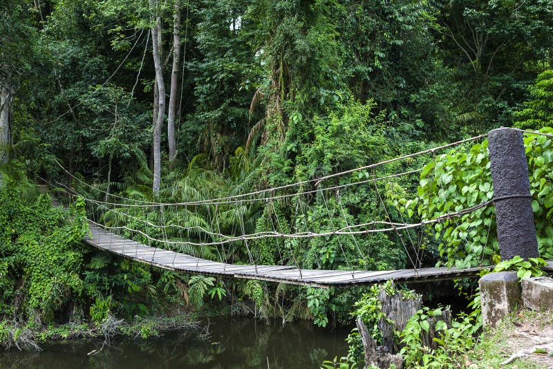 Rope bridge stock image. Image of jungle, bridges, wood - 34058229