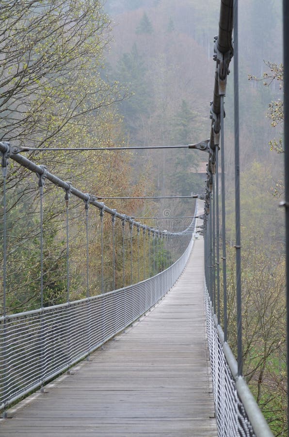 Rope Bridge in Misty Mountains Stock Photo Image of planks, forest