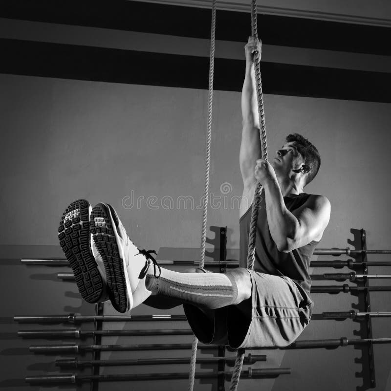 Rope Climb Exercise Man Workout at Gym Stock Photo - Image of