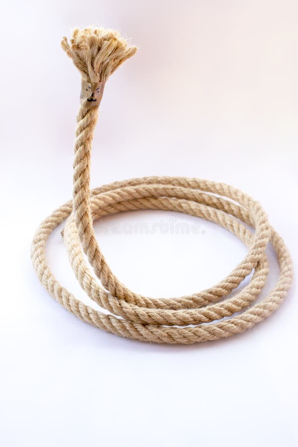 The curled rope with end with the funny face on white background. White funny face stock images, royalty-free photos and pictures