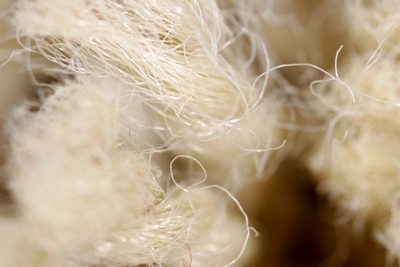 Rope fiber stock image. Image of tied, cord, endurance 9505309