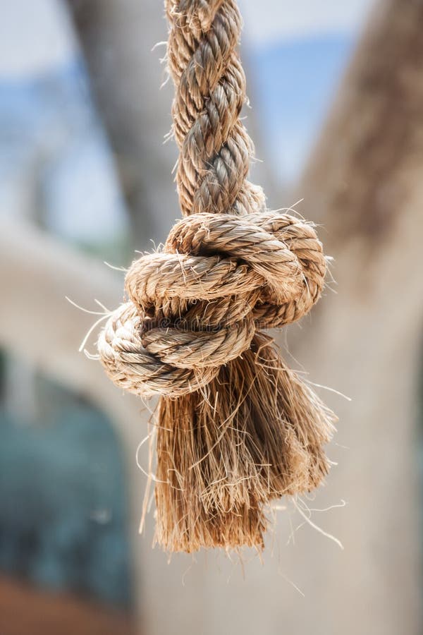 Knot On Brown Rope End Against White Background Stock Photo