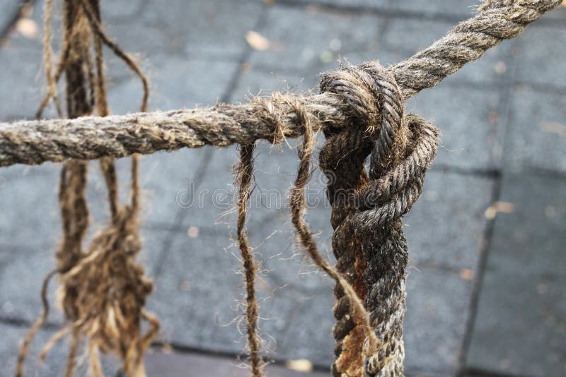 Loose Rope stock photo. Image of petal, background, string 15739910