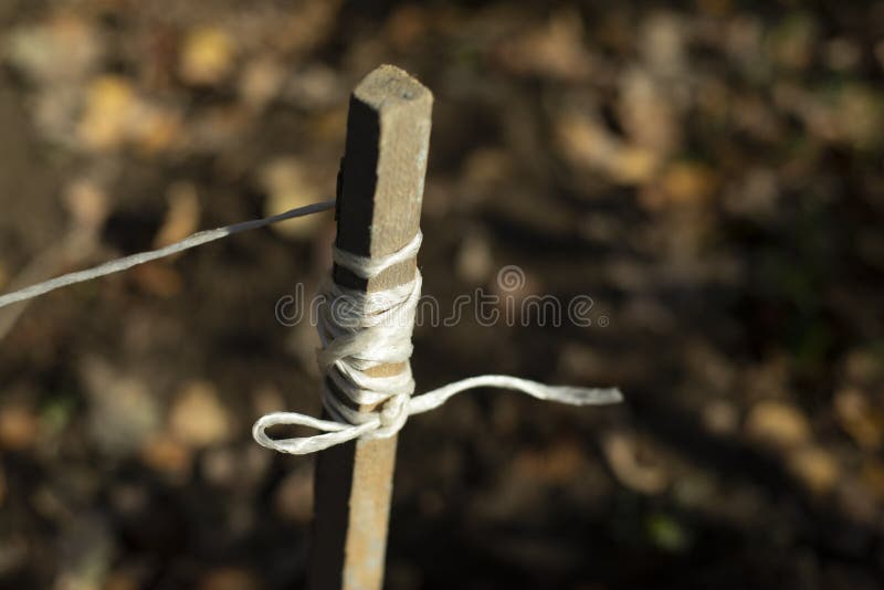 Rope on Stick. Ground Marking. Rope Wound on Board Stock Image Image