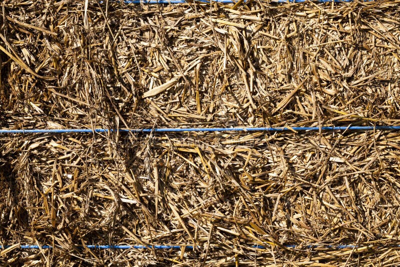 Rope straw rye stock images