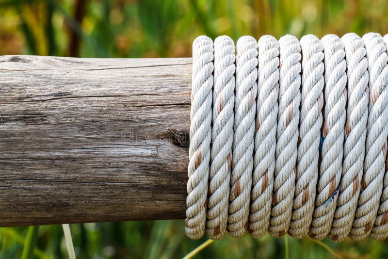 Rope tied around a wooden log