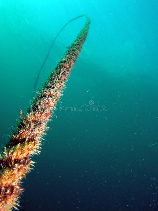 Rope to mooring buoy stock photo. Image of camera, colorful 7521184