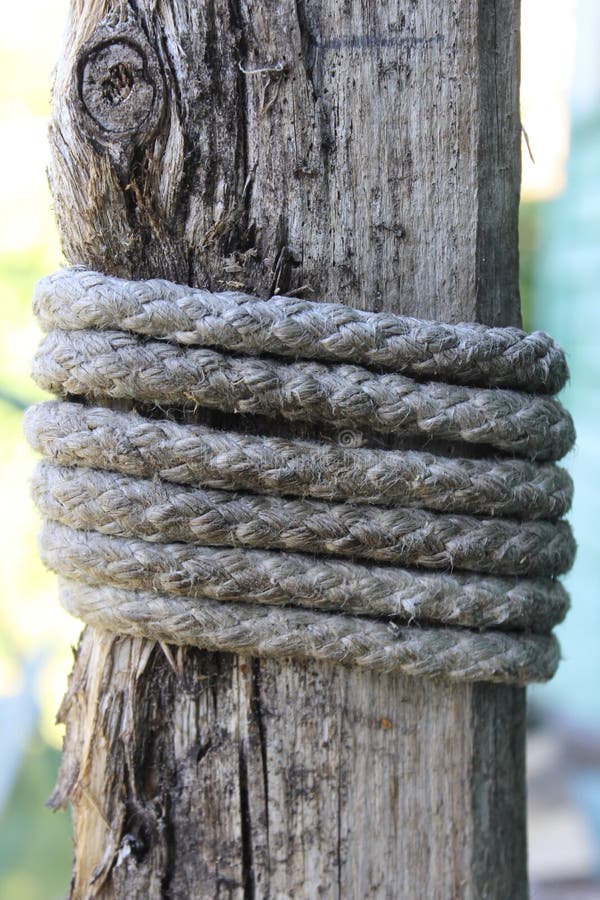 An old wet rope. Macro. stock photo. Image of board 260723288