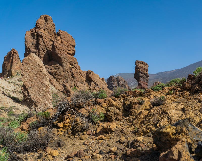 The Roque Cinchado surrounded by greenery on a sunny day in the Teide National Park, Spain